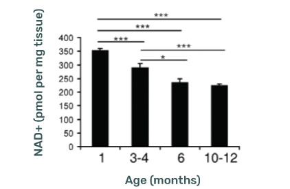 NAD+ Decline with Age Graph