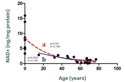 NAD+ Age Decline Data