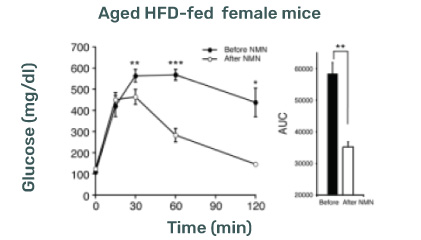 Female Mice Lifespan Graph