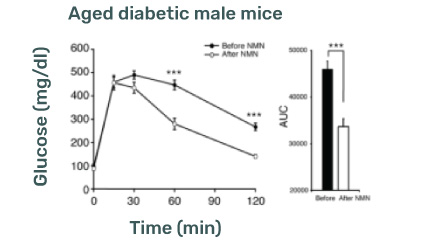 Male Mice Lifespan Graph