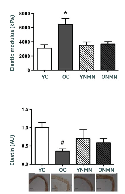 Vascular Aging Data